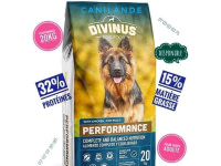 Divinus performance 20KG