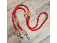 Laisse pour grand chien
