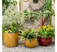 Vente de pots de fleurs