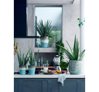 Entretien et décoration