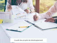 L'audit des projets développement