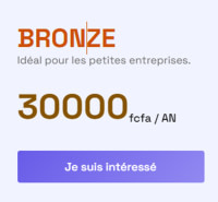 Pack Bronze : Idéal pour les petites entreprises. 30 000 FCFA / an.