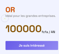 Pack Or : Pour les grandes entreprises. 100 000 FCFA / an.