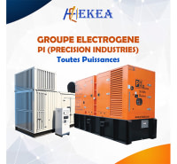 Groupe électrogène PI