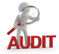 AUDIT