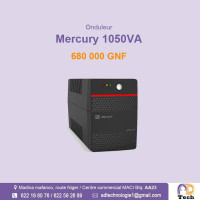 Onduleur Mercury 1050VA