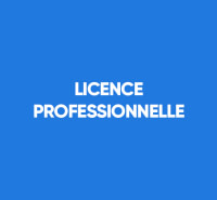 Licence Professionnelle