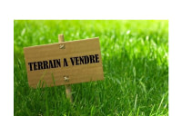 Vente de terrine
