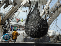 Un terminal à Pêche