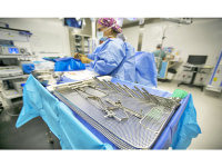 Transplantation rénale