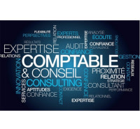 Expertise comptable