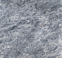 Blue Leopard Dark