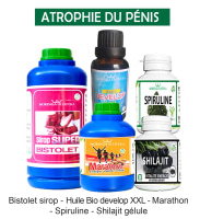 ATROPHIE DU PENIS