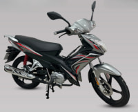 MEGA SPORTS 110cc