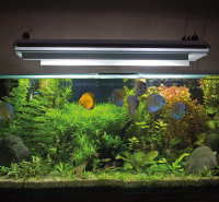 Aquariums