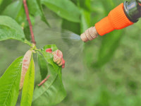 Traitement phytosanitaire