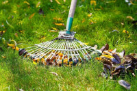 Entretien des Espaces Verts