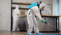 Désinsectisation, Dératisation et Décontamination (3D)
