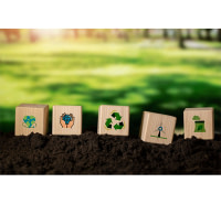 Etudes environnementales et sociales