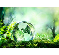 Analyse des composantes environnementales