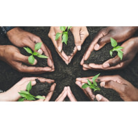 Études de développement durable