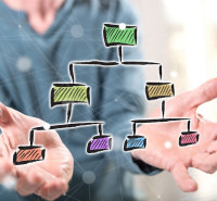 Audit organisationnel des entreprises