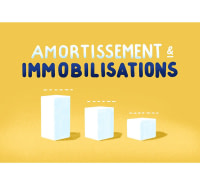 Immobilisations