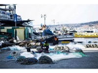 Collecte et traitement des déchets maritimes