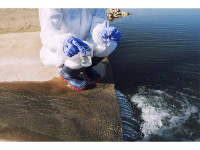 Assainissement et gestion des eaux