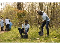 Création et entretien d’espaces verts
