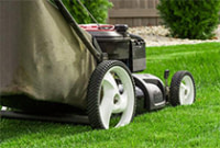 Entretien espaces verts