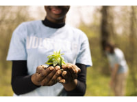 La réalisation de plantations clé en main