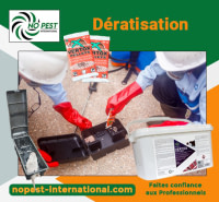 Dératisation