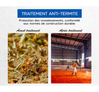 La lutte anti-termites