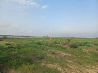 Terrains en vente – Bingerville Eloka