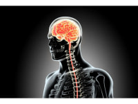 Neurologie