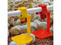 Pipette automatique