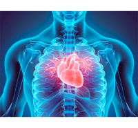 Cardiologie