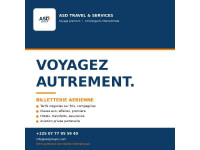 Voyages, billetterie aérienne et mobilité internationale
