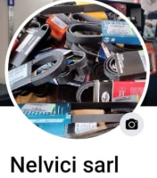 NELVICI SARL