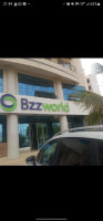 BZZWORLD