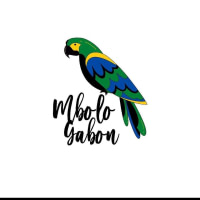 MBOLO GABON