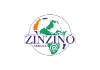 ZINZINO AFRIQUE
