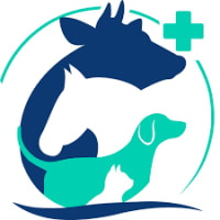 CLINIQUE VETERINAIRE SOLIMAN ERRIADH
