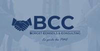 BORGET CONSEILS & CONSULTING