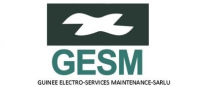 GSEM
