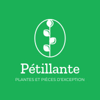 BOUTIQUE PETILLANTE : PLANTES NATURELLES ET VINTAGE