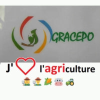 GRACEPO