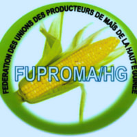 FEDERATION DES UNIONS DES PRODUCTEURS DE MAIS DE LA HAUTE GUINEE