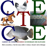 CABINET DE CONSEIL TECHNICO ECONOMIQUE DE ELEVAGES - 2CT2E